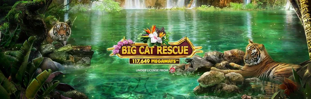 Big Cat Rescue Megaways™ slot demo preview